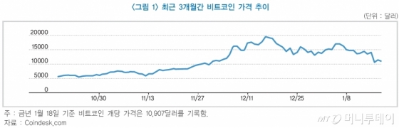 한국금융연구원 '최근 비트코인 가격급락 현상과 가상통화 생태계' 보고서.