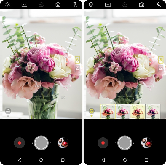 2018년형 'LG V30'에 탑재된 AI 촬영모드 추천 기능이 화분에 담긴 꽃다발을 인식, 적합한 촬영모드를 추천해 주는 모습. /사진제공=LG전자.