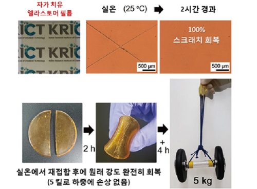 한국화학연구원 바이오화학연구센터가 최근 개발한 자가 치유 기능을 지닌 ‘엘라스토머(탄성중합체)’/자료=화학연