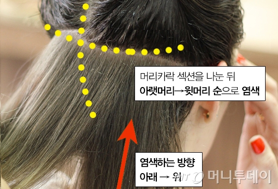 흰머리염색 흰머리염색의 중요 포인트! 꼭 알아두세요!
