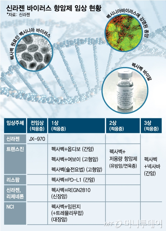 그래픽=최헌정 디자인 기자