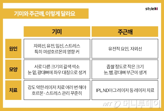 기미와 주근깨 차이/그래픽=이은 기자