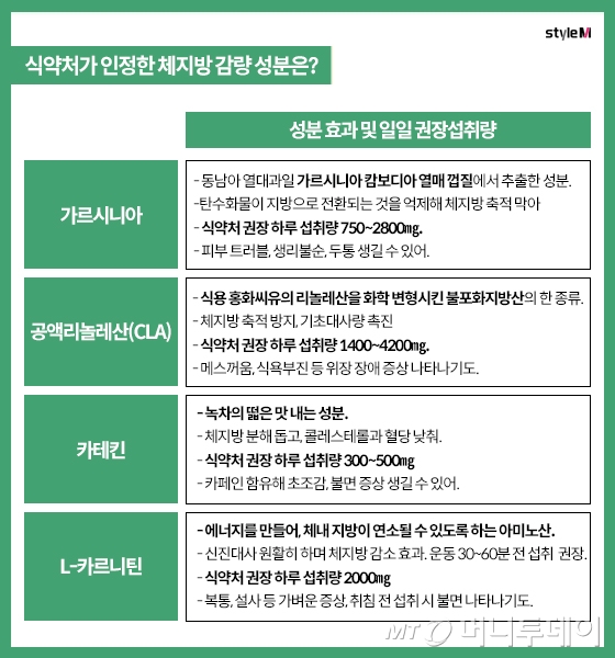 /그래픽=이은 기자, 도움말=약학정보원 양덕숙 원장, 식품의약안전처