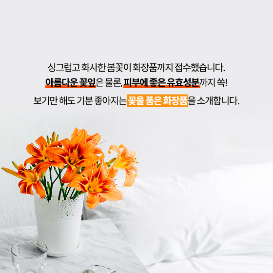 [카드뉴스] "싱그러운 느낌"…'꽃잎' 품은 화장품 6