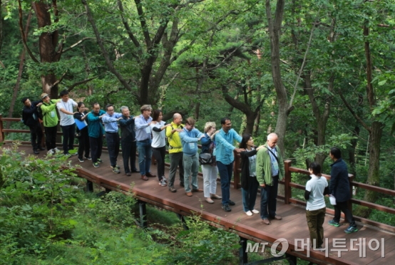 숲 산책 프로그램 운영 모습./사진제공=한국산림복지진흥원