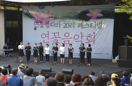 고품질 연근생산에 문화행사 가미…농가소득 '대박' - 머니투데이