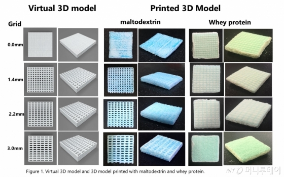 3D 프린터로 출력된 식품 모습./사진=이대 제공