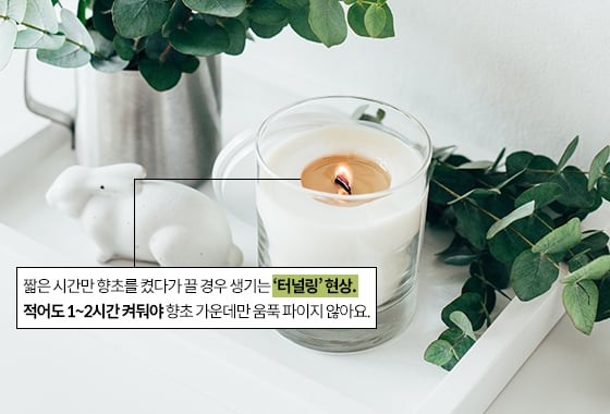 /사진=게티이미지뱅크, 그래픽=이은 기자