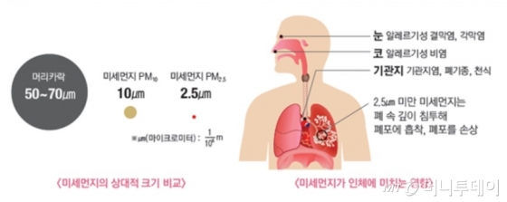 /그래픽 제공=서울시