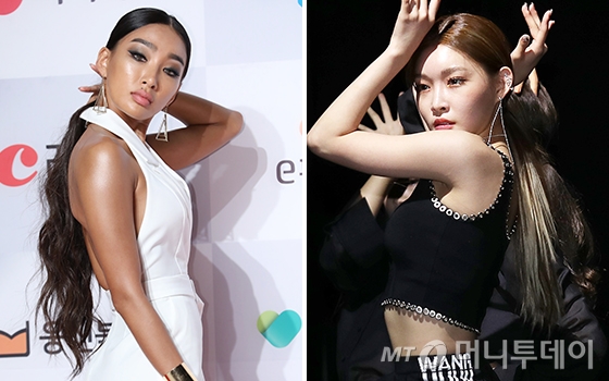 모델 문가비, 가수 청하 /사진=머니투데이 DB