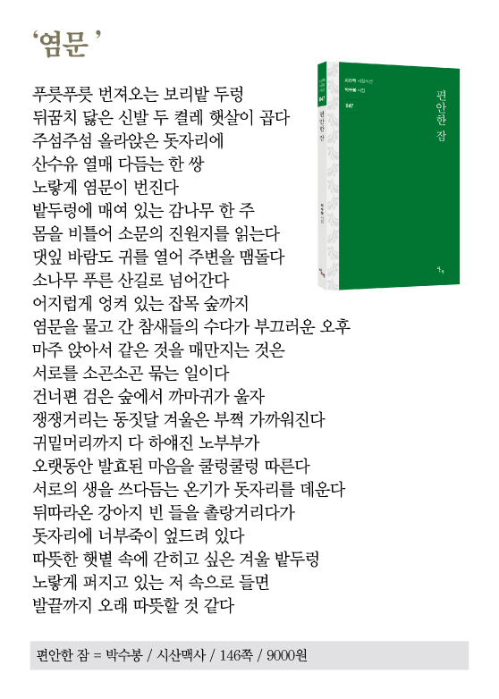 [시인의 집]같이 있다는 사실만으로도 따뜻한 위로  - 머니투데이