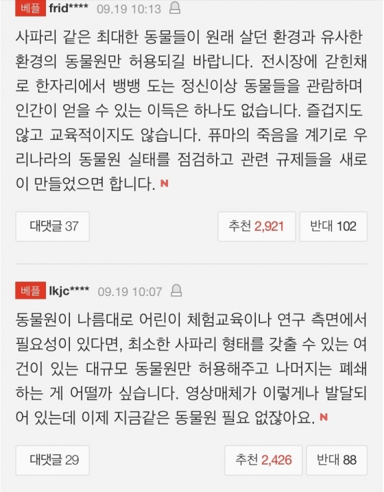 퓨마 맘껏 뛰놀도록 퓨마 맘껏 뛰놀도록