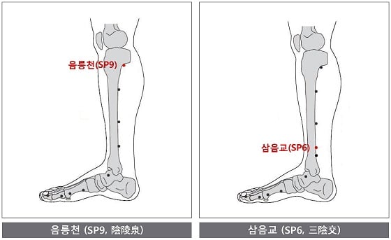 발목부터 목까지 ‘끙끙’ 명절증후군…