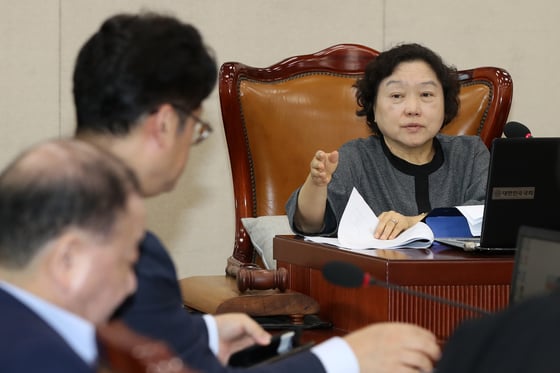  인재근 국회 행정안전위원장이 17일 서울 여의도 국회에서 열린 행안위 전체회의에서 발언을 하고 있다. 2018.9.17/뉴스1  <저작권자 &copy; 뉴스1코리아, 무단전재 및 재배포 금지>