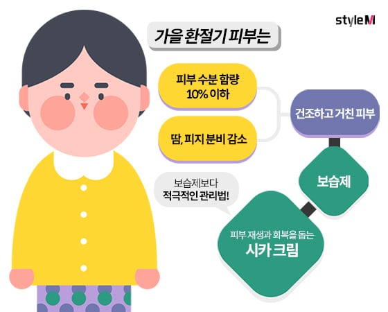 건조한 가을 환절기 피부를 적극적으로 관리하는 '시카 화장품'/일러스트=이미지투데이, 이은 기자