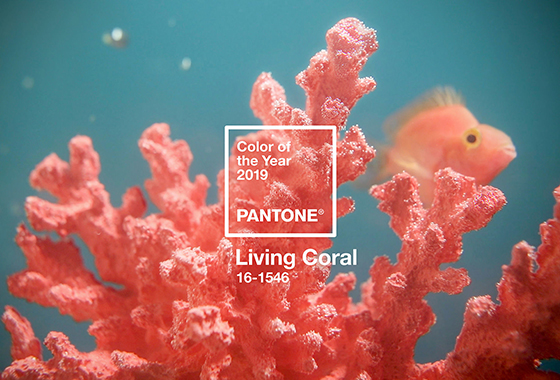 2019 올해의 컬러 '리빙 코랄'(Living Coral)/사진=팬톤(Pantone)