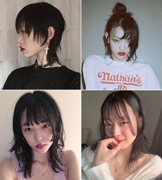 설리·수지도 했다는데…'허쉬컷', 나도 어울릴까? - 머니투데이 설리·수지도 했다는데…'허쉬컷', 나도 어울릴까? - 머니투데이