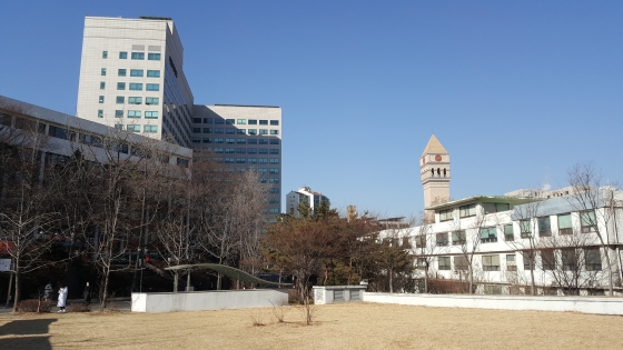 세종사이버대, 공인중개사 취득·창업경영 실무과정