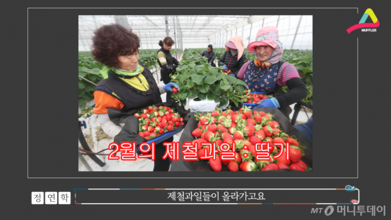 2월의 제철과일 딸기를 올리자.