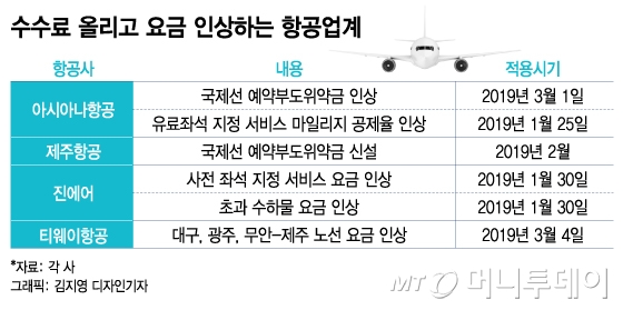 항공료 인상 꼼수? 수하물·좌석 수수료 올랐다 - 머니투데이