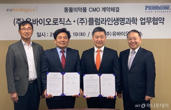 플럼라인생명과학과 유바이오로직스가 DNA백신 기술 기반의 돼지 면역조절제 라이프타이드SW5의 위탁생산 계약에 대한 양해각서(MOU)를 체결했다. 왼쪽부터 유바이오로직스의 최석근 부사장, 백영옥 대표, 플럼라인생명과학의 김경태 대표, 김균 상무./사진제공=플럼라인생명과학