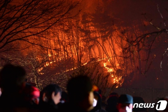 3일 오후 7시52분쯤 경북 포항시 남구 대송면 대각리 한 야산에서 원인을 알 수 없는 불이 나 포항시청 공무원과 소방관,의용소방대원들이 진화 작업에 투입되고 있다./사진=뉴스1