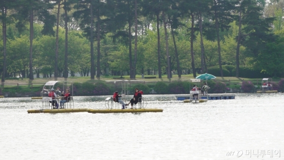 일산 호수공원을 걷다 지쳤다면 '수상 꽃 자전거'를 타며 낭만을 만끽할 수 있다. /사진=김소영 기자