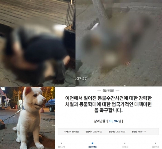 지난 16일 만취한 A씨(27·남)가 경기도 이천의 한 가게 앞에 묶여있던 생후 3개월 된 강아지를 10여분간 학대했다. 남성은 하의를 내리고 강아지에게 엎드려 수간을 시도한 혐의로 현행범으로 체포됐다./사진=동물학대방지연합(kapca) 공식 SNS 캡처, 청와대 국민청원 게시판