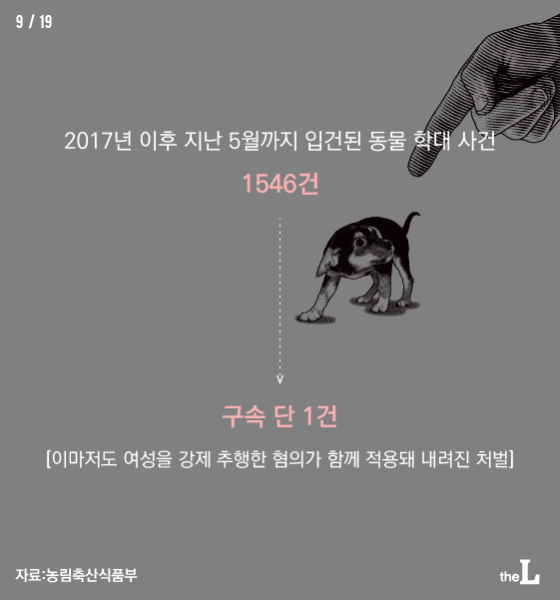 [카드뉴스] 동물학대 여전 "솜방망이 처벌"