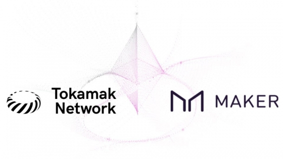 토카막 네트워크, 스테이블 코인 '다이' 공식 지원