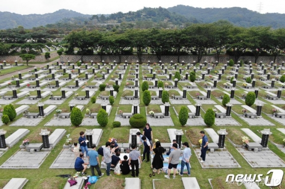 (인천=뉴스1) 박세연 기자 = 추석을 앞둔 8일 인천시 인천가족공원묘지를 찾은 시민들이 성묘를 하고 있다. 2019.9.8/뉴스1 <저작권자 © 뉴스1코리아, 무단전재 및 재배포 금지><br>