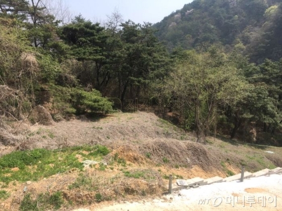 감정가보다 51배 높은 가격에 경매 낙찰된 강원도 홍천군 내촌면 화상대리 부지 전경. /사진제공=지지옥션