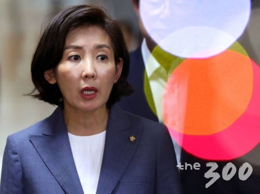 자유한국당 나경원 원내대표가 9일 오후 서울 여의도 국회에서 열린 긴급의원총회를 마친 뒤 취재진의 질문에 답변하고 있다. /사진=홍봉진 기자