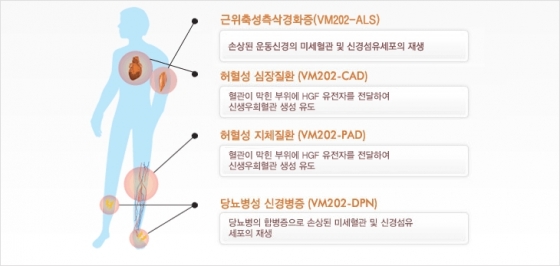 헬릭스미스가 개발 중인 신약 'VM202'의 치료 효과 설명자료. /자료=헬릭스미스 홈페이지