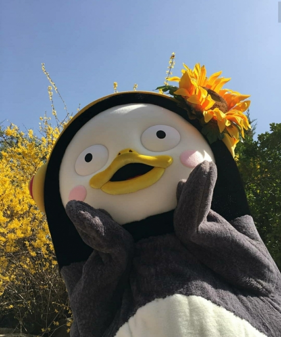 /사진=펭수 인스타그램