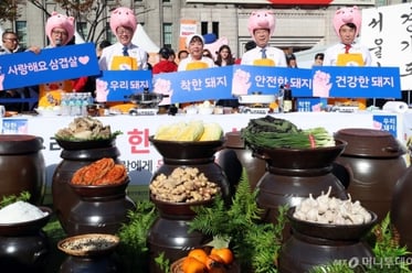 '아프리카돼지열병은 사람에게 무해합니다'