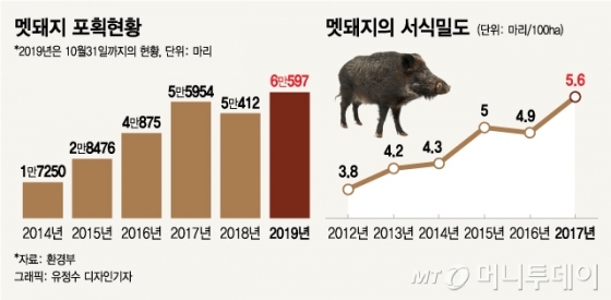'목숨값 60억원' 멧돼지를 지명수배합니다