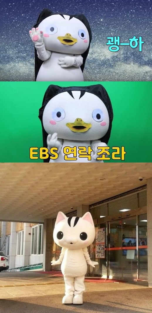 위- 괭수로 변한 고양고양, 아래- 고양고양의 원래 모습 /사진= 고양시청, 고양시 유튜브 채널 캡처본