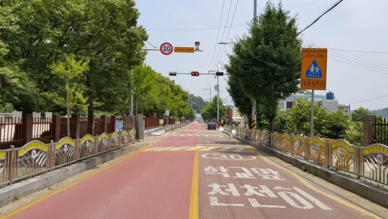 스쿨존, 시속 30km 지켰더니 '빵빵'…'민식이법' 필요한 이유 - 머니투데이