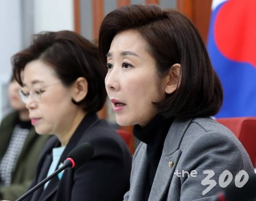 나경원 자유한국당 원내대표(오른쪽)가 29일 오후 서울 여의도 국회에서 긴급 기자회견을 하고 있다. /사진=홍봉진 기자