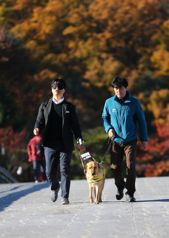 눈을 감고 안대를 썼다. 원래는 안내견과 시각장애인이 함께 호흡을 맞출 시간이 필요하다. 통상 한 달 정도 함께 훈련한다. 한적한 도로, 다리, 횡단보도 등을 다녀봤다. /사진= 남형도 기자