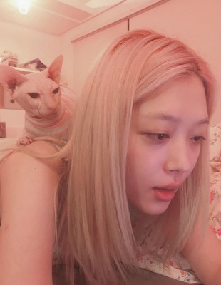 김희철 김희철