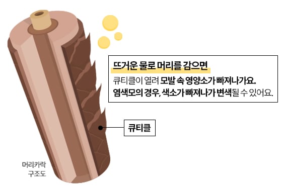 /일러스트=게티이미지뱅크, 편집=이은 기자