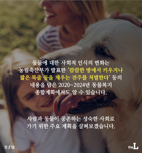 [카드뉴스] 동물 복지 위해 '한 걸음 더'