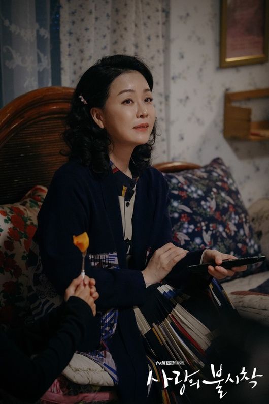 배우 김정난. /사진='사랑의 불시착' 홈페이지