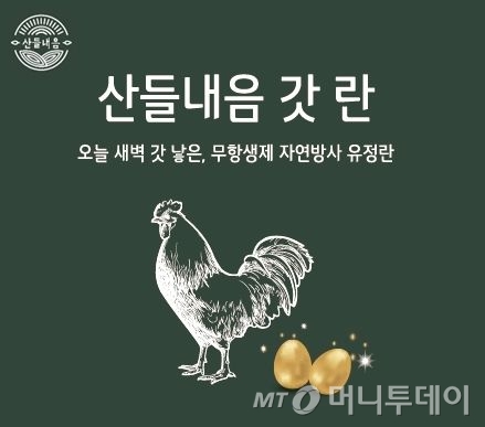 /사진제공=현대그린푸드