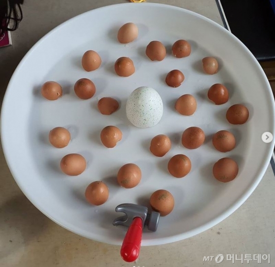 아무놀이 챌린지에 올라온 달걀껍질깨기 놀이/사진=인스타그램 캡처