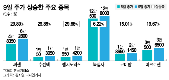 폭락장에서도 '오르는 종목'은 있었다