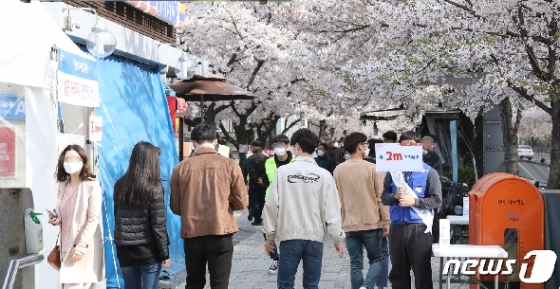 사진 2m 거리유지 캠페인 펼쳐지는 여의도 벚꽃길 - 머니투데이