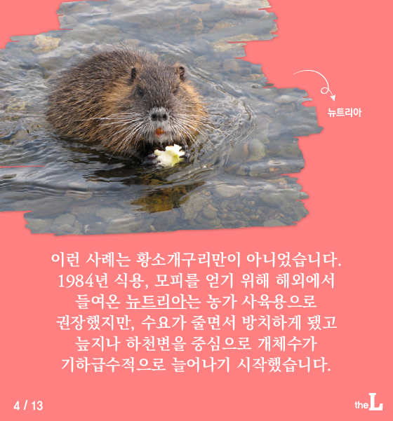 [카드뉴스] "코로나19 매개체 '흡혈박쥐' 반입 안돼요"